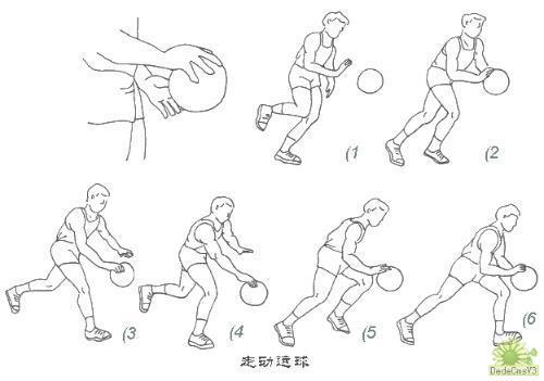 篮球训练基本动作有哪些内容呢